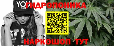 МДМА Гатчина