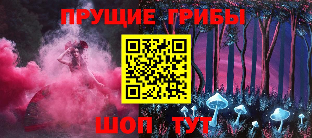 где купить наркотик  Псилоцибиновые грибы Cubensis  Псилоцибиновые грибы Cubensis  Вход с VPN  Можга 